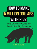 How To Make A Million Dollars With Pigs