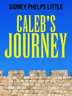 Caleb's Journey