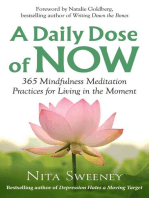 A Daily Dose of Now: 365 Mindfulness Meditation Practices for Living in the Moment