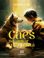 Cães: só amor não basta