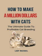 How To Make A Million Dollars With Cats: The Ultimate Guide To Profitable Cat Breeding