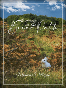At Home in the Briar Patch by Mariann S. Regan - Ebook