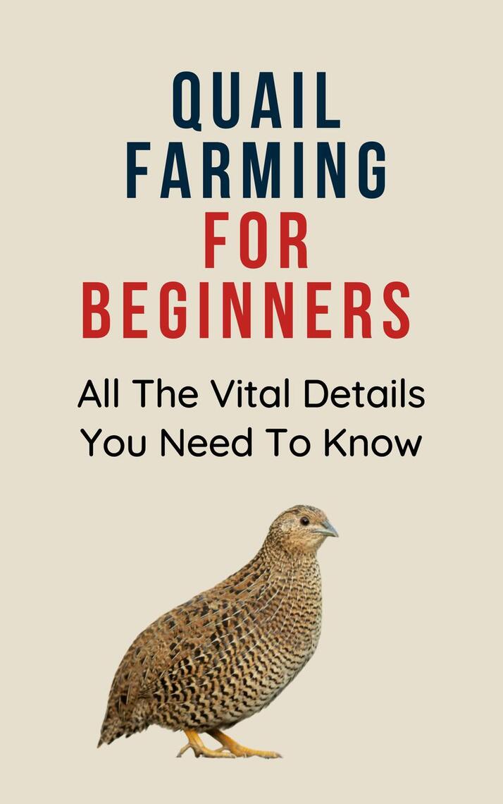 Quail Farming for Beginners: All The Vital Details You Must Know by ...