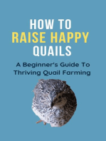 How To Raise Happy Quail