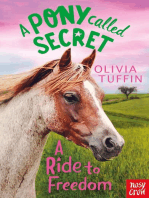 A Pony Called Secret