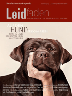 Auf den Hund gekommen – Tiere in und bei Krisen, Leid und Trauer: Leidfaden 2021, Heft 4