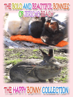 The Bold and Beautiful Bunnies of Jericho Beach: The Happy Bunny Collection