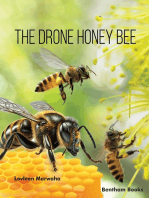 The Drone Honey Bee