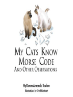 My Cats Knows Morse Code And Other Observations