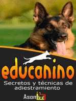 Educanino