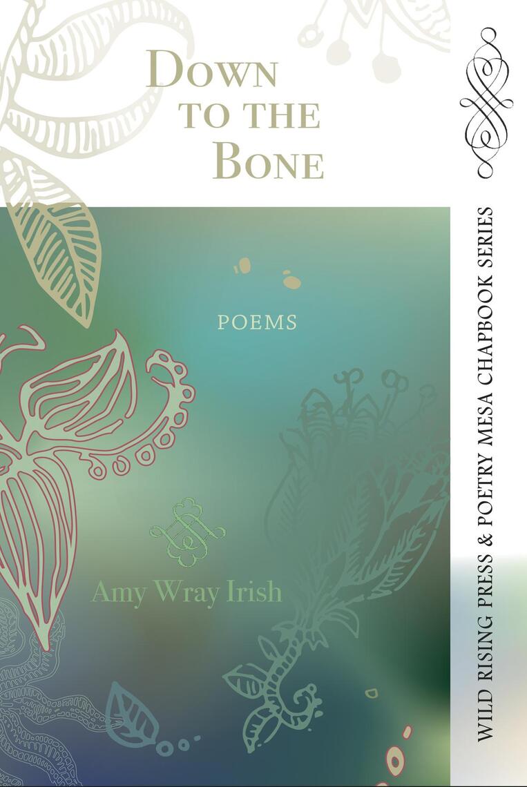 Down to the Bone by Amy Irish, Judyth Hill, Mary M. Meade (Ebook ...
