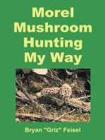 Morel Mushroom Hunting My Way
