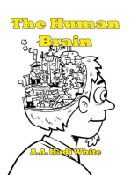 The Human Brain: Lost Between Details, #3