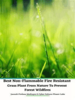 Best Non-Flammable Fire Resistant Grass Plant From Nature to Prevent Forest Wildfires