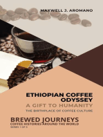 Ethiopian Coffee Odyssey