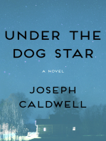 Under the Dog Star