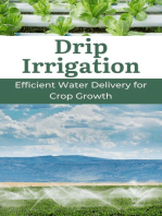 Drip Irrigation 