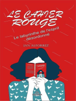 Le Cahier Rouge - Le labyrinthe de l'esprit désordonné