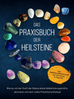 Das Praxisbuch der Heilsteine: Wie du mit der Kraft der Steine deine Selbstheilungskräfte aktivierst und dein volles Potential entfaltest - inkl. Heilstein-Meditationen zum Download & Orgonite