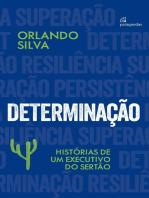 Determinação: Histórias de um executivo do sertão