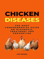 Chicken Diseases