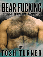 Bear Fucking
