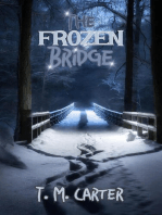 The Frozen Bridge