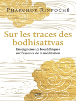 Sur les traces des bodhisattvas: Enseignements bouddhiques sur l'essence de la méditation