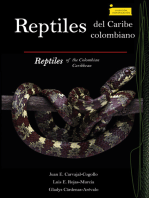 Reptiles del Caribe colombiano