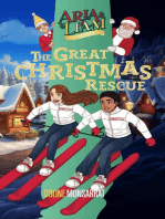 Aria & Liam - The Great Christmas Rescue