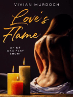 Love's Flame: Tales From the Toy Box