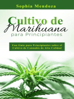Cultivo de Marihuana Para Principiantes: UNA GUÍA PARA PRINCIPIANTES SOBRE EL CULTIVO  DE CANNABIS DE ALTA CALIDAD