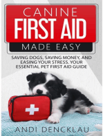 Canine First Aid Made Easy