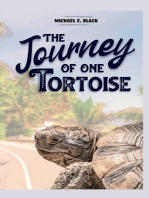 The Journey of One Tortoise
