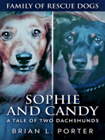 Sophie and Candy - A Tale of Two Dachshunds