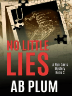 No Little Lies: Ryn Davis Mystery Series, #3