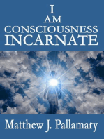 I Am Consciousness Incarnate
