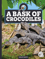 A Bask of Crocodiles