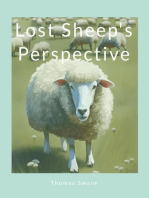 Lost Sheep's Perspective