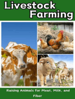 Livestock Farming 