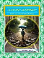 A Stony Journey