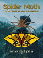 Spider Moth