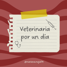 Veterinaria por un día