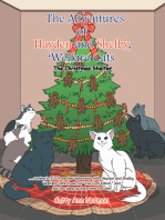 The Adventures of Hayden and Shelby, ‘Welfare Cats: The Christmas Shelter