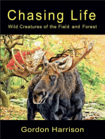 Chasing Life: Wild Creatures of the Field and Forest