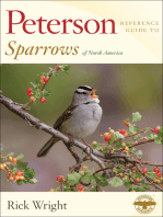 Peterson Reference Guide To Sparrows of North America