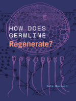 How Does Germline Regenerate?