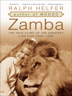 Zamba: The True Story of the Greatest Lion That Ever Lived