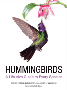Hummingbirds by Michael Fogden, Marianne Taylor, Sheri L. Williamson ...