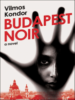 Budapest Noir